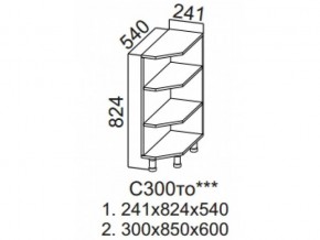 С300то Стол-рабочий 300 (торцевой открытый) в Югорске - yugorsk.magazin-mebel74.ru | фото