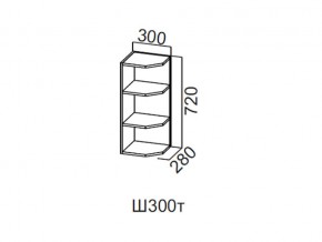 Ш300т/720 Шкаф навесной 300/720 (торцевой) в Югорске - yugorsk.magazin-mebel74.ru | фото