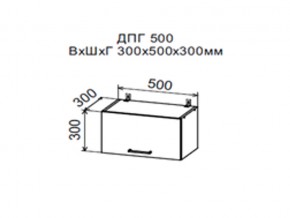 Шкаф верхний ДПГ500 горизонтальный в Югорске - yugorsk.magazin-mebel74.ru | фото
