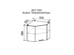 Шкаф верхний ДПУ600 угловой в Югорске - yugorsk.magazin-mebel74.ru | фото